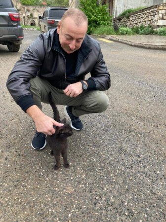 "Şuşada yeni dost" - Mehriban Əliyevadan maraqlı paylaşım - FOTO