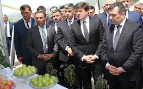 “Broker” erməni qızlarını ölkəyə necə gətirir? - SENSASİYA
