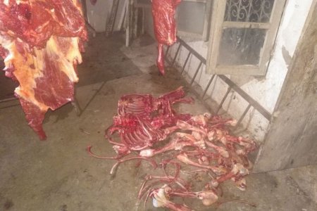 Bərdədə at əti satışına görə yenidən tutuldu - FOTOLAR