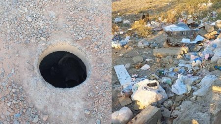 “6-7 aydır ki, zibilin içində yaşayırıq, Abşeron Rayon İcra Hakimiyyəti isə problemi həll etmir”