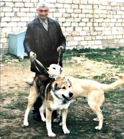 MTN-in qalmaqallı POLKOVNİKİ ÖLDÜ - FOTO