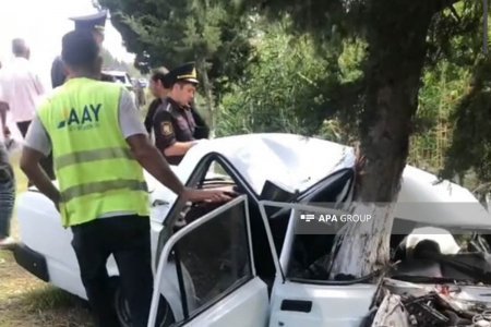 Beyləqanda avtomobil ağaca çırpılıb, sürücünün vəziyyəti ağırdır - FOTO
